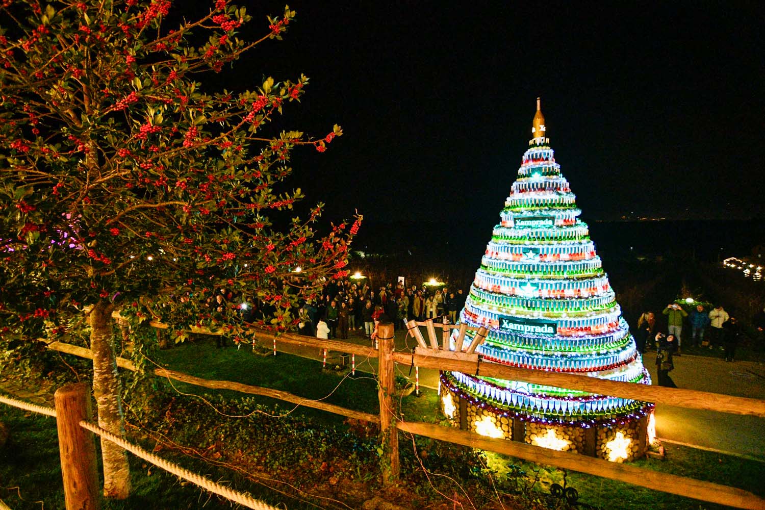 Encendido de las luces de Navidad del Palacio de Canedo (12)