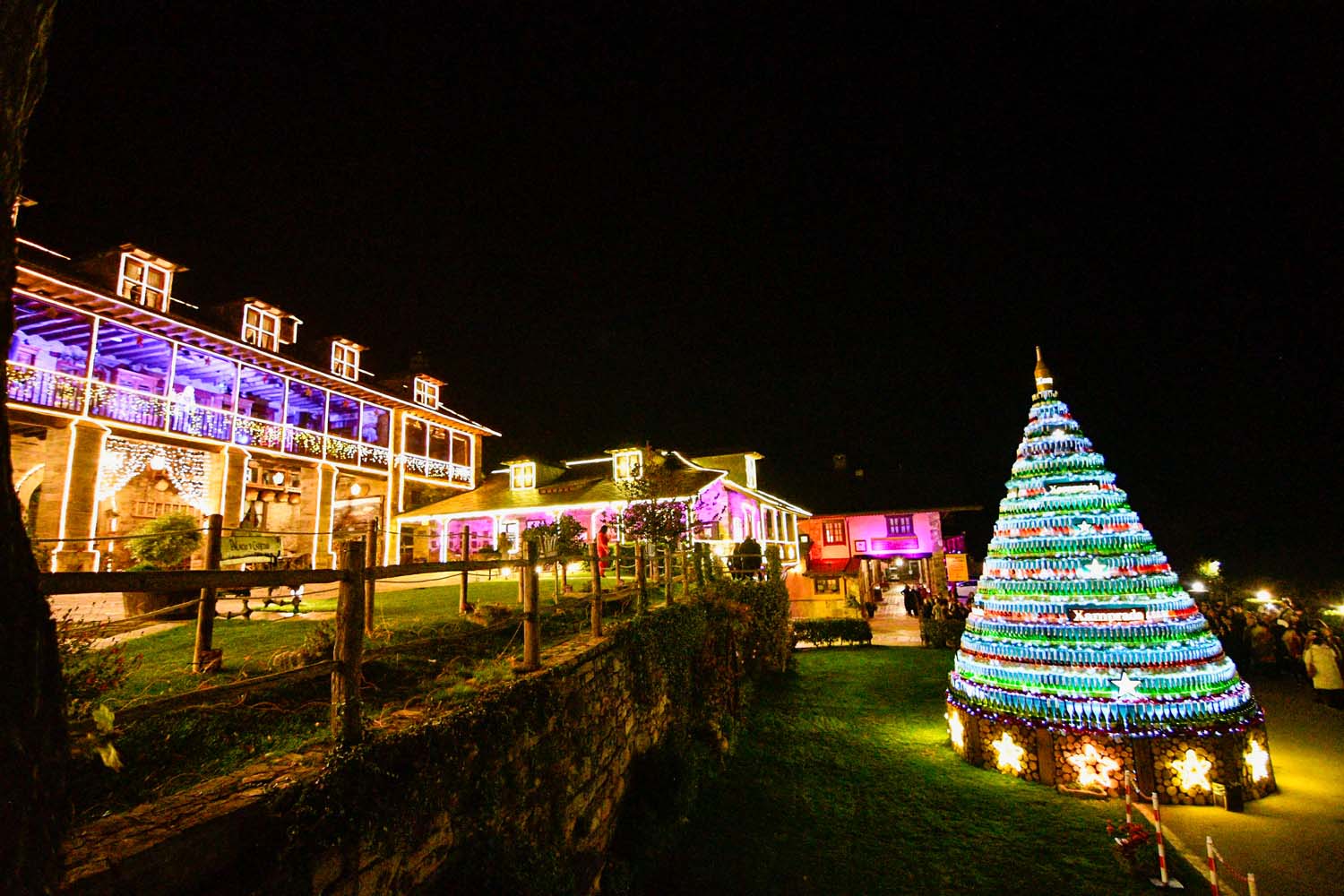 Encendido de las luces de Navidad del Palacio de Canedo (4)