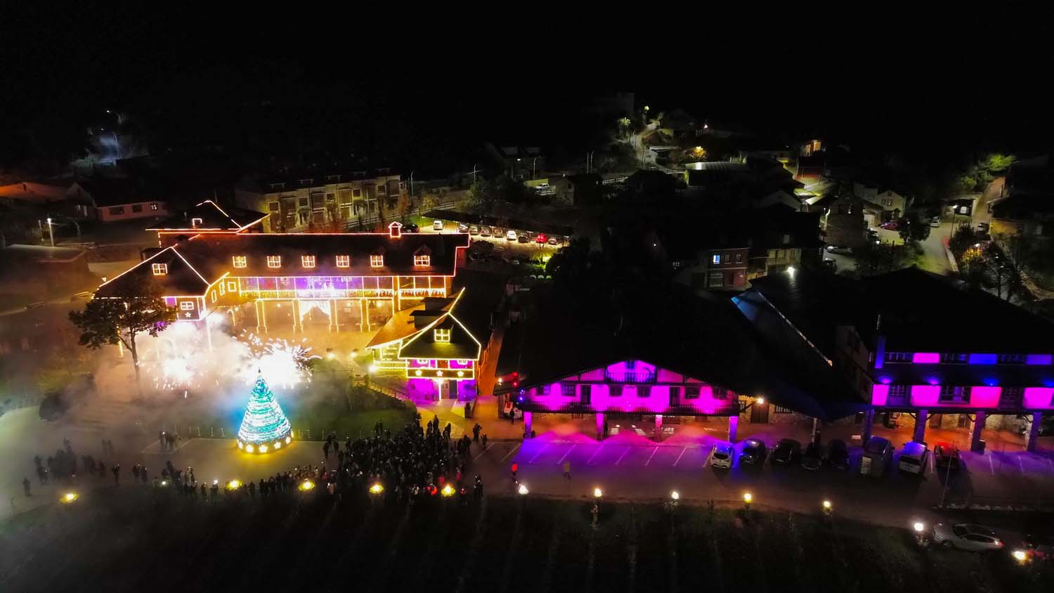 Encendido de las luces de Navidad del Palacio de Canedo (44)