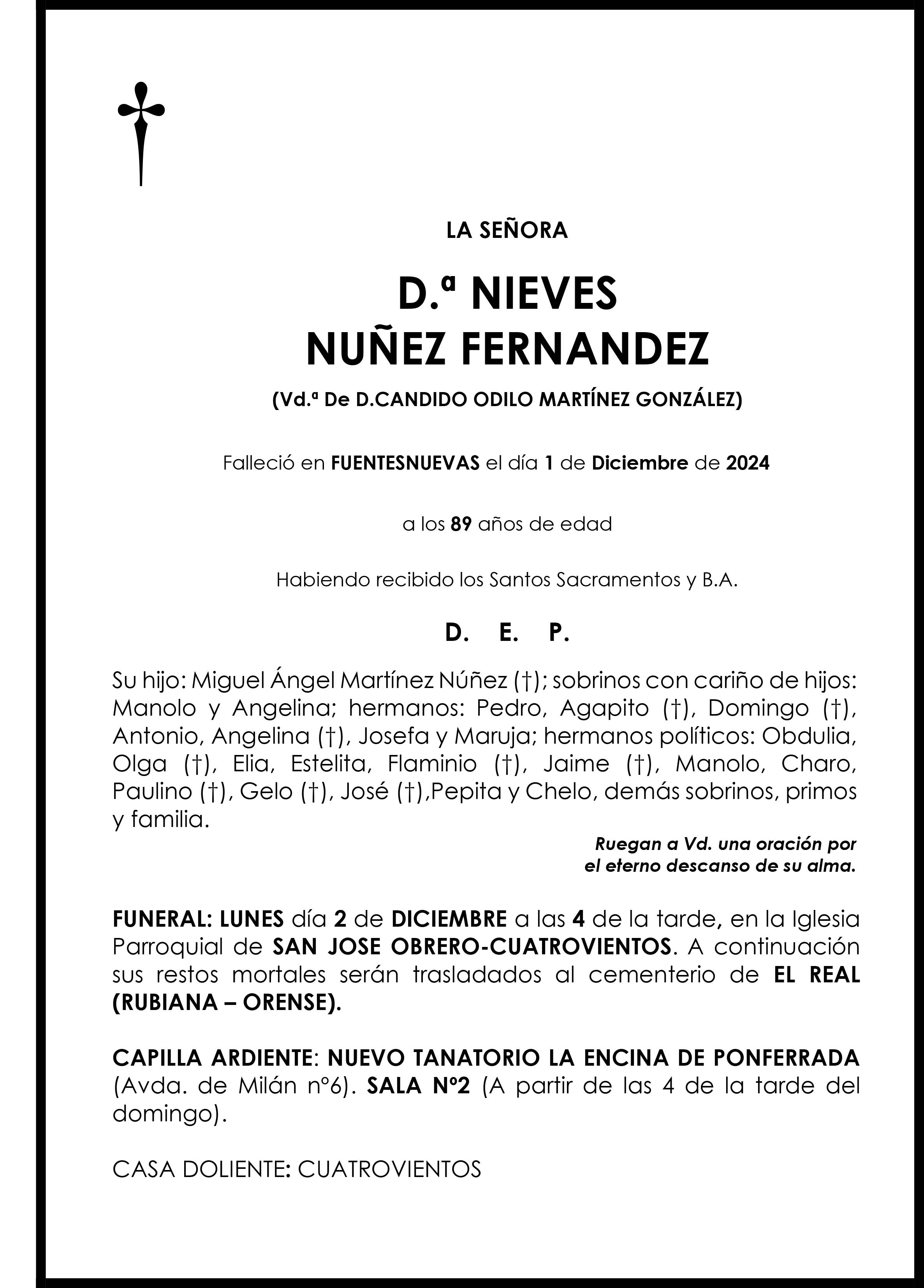 NIEVES NUÑEZ FERNANDEZ