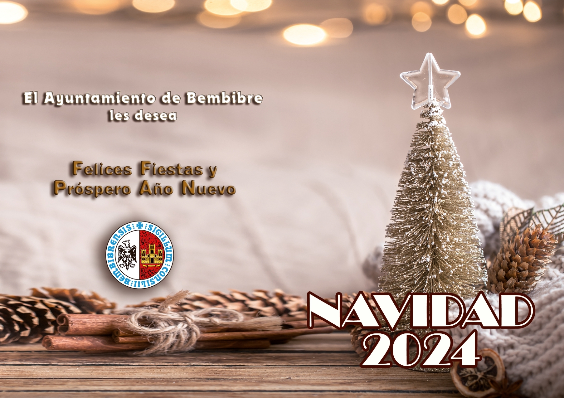 Navidad Bembibre