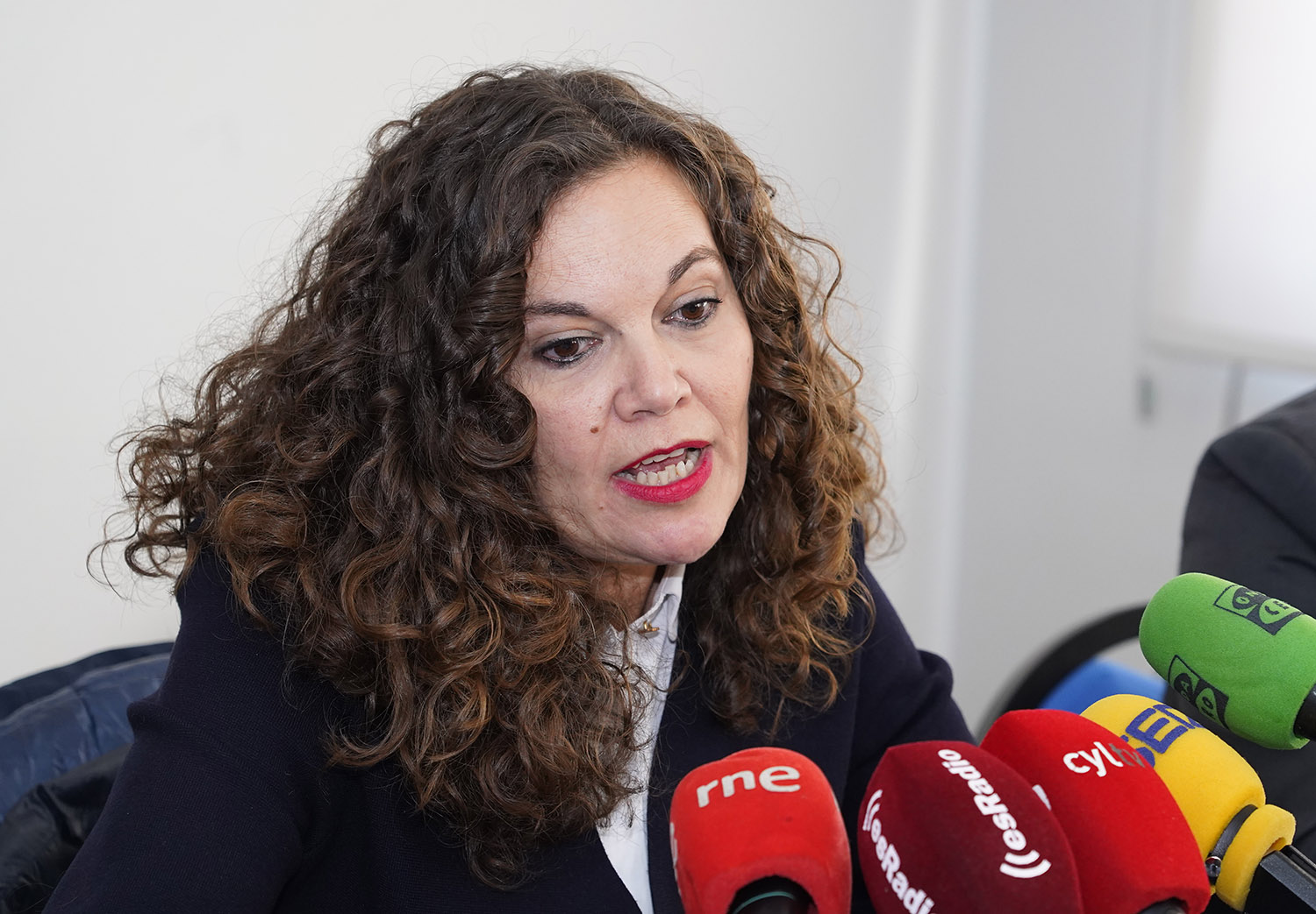 La alcaldesa de Bembibre, Silvia Cao, durante la rueda de prensa de esta mañana para abordar el proyecto eólico de Repsol Alto Bierzo Sil | César Sánchez ICAL