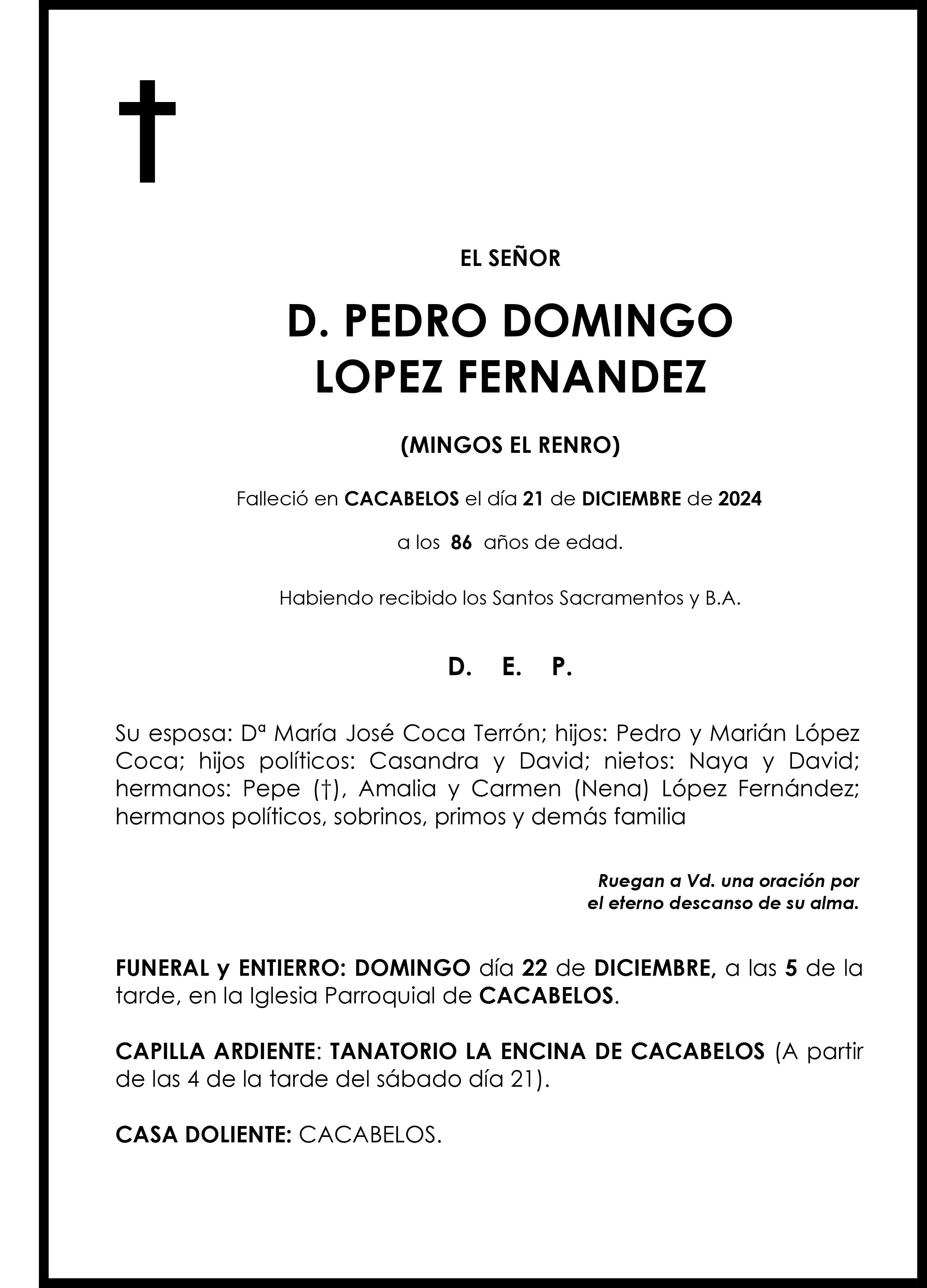 PEDRO DOMINGO LOPEZ FERNANDEZ