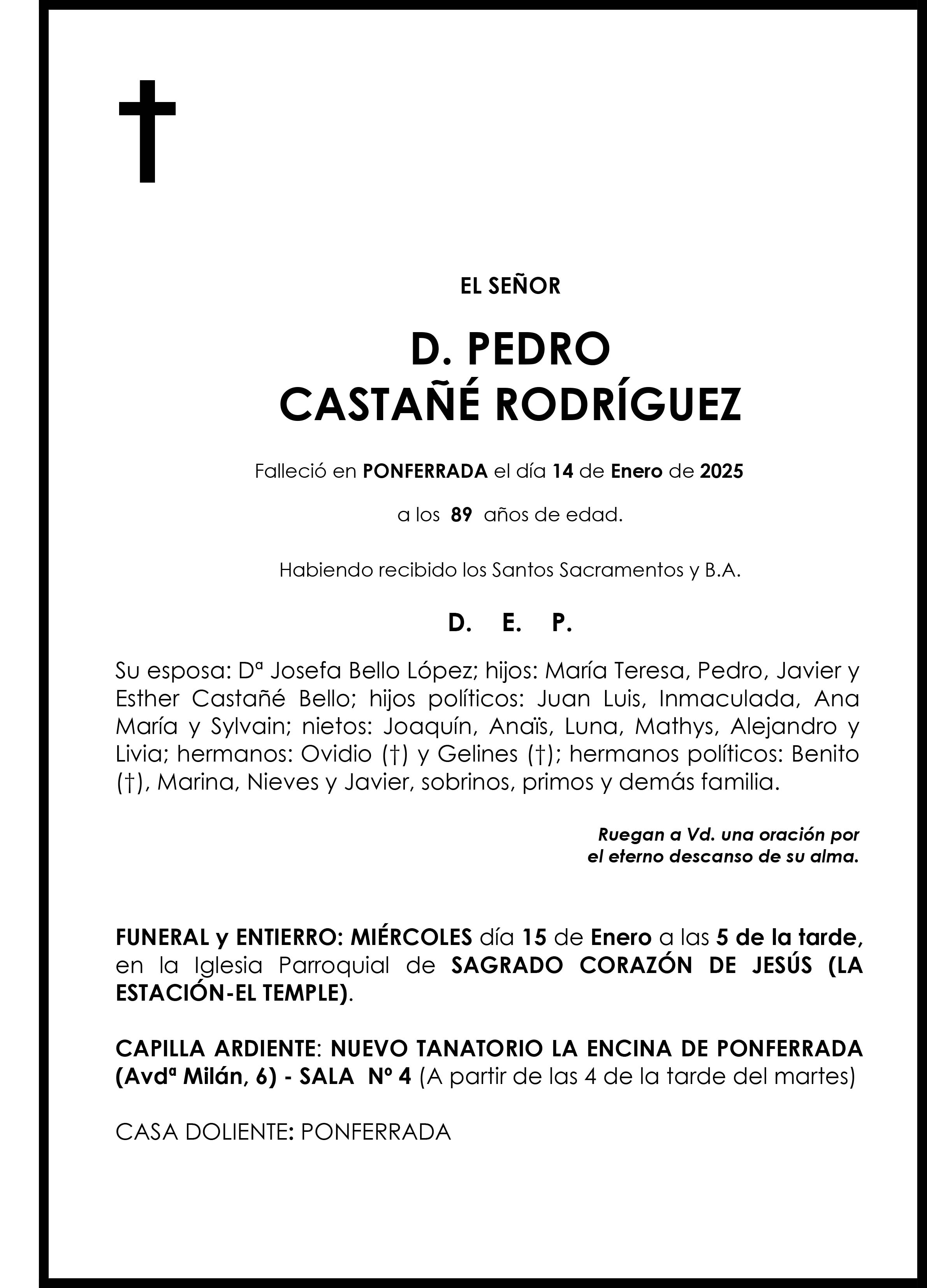 PEDRO CASTAÑÉ RODRÍGUEZ