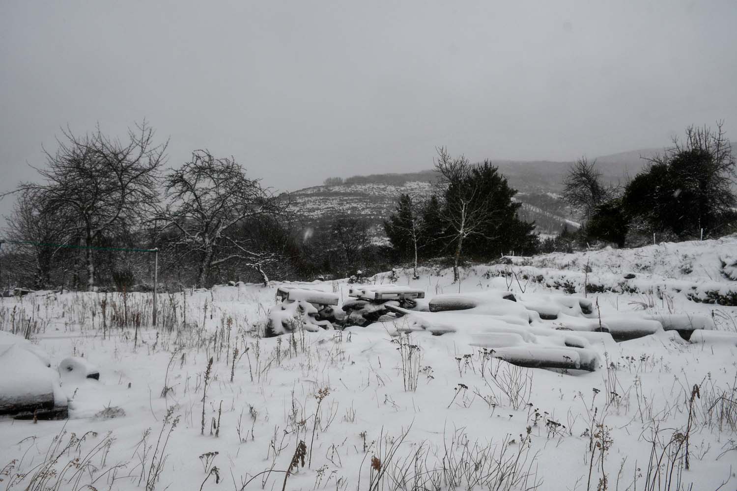 La borrasca Herminia deja un manto de nieve en San Cristobal de Valdueza  (8)