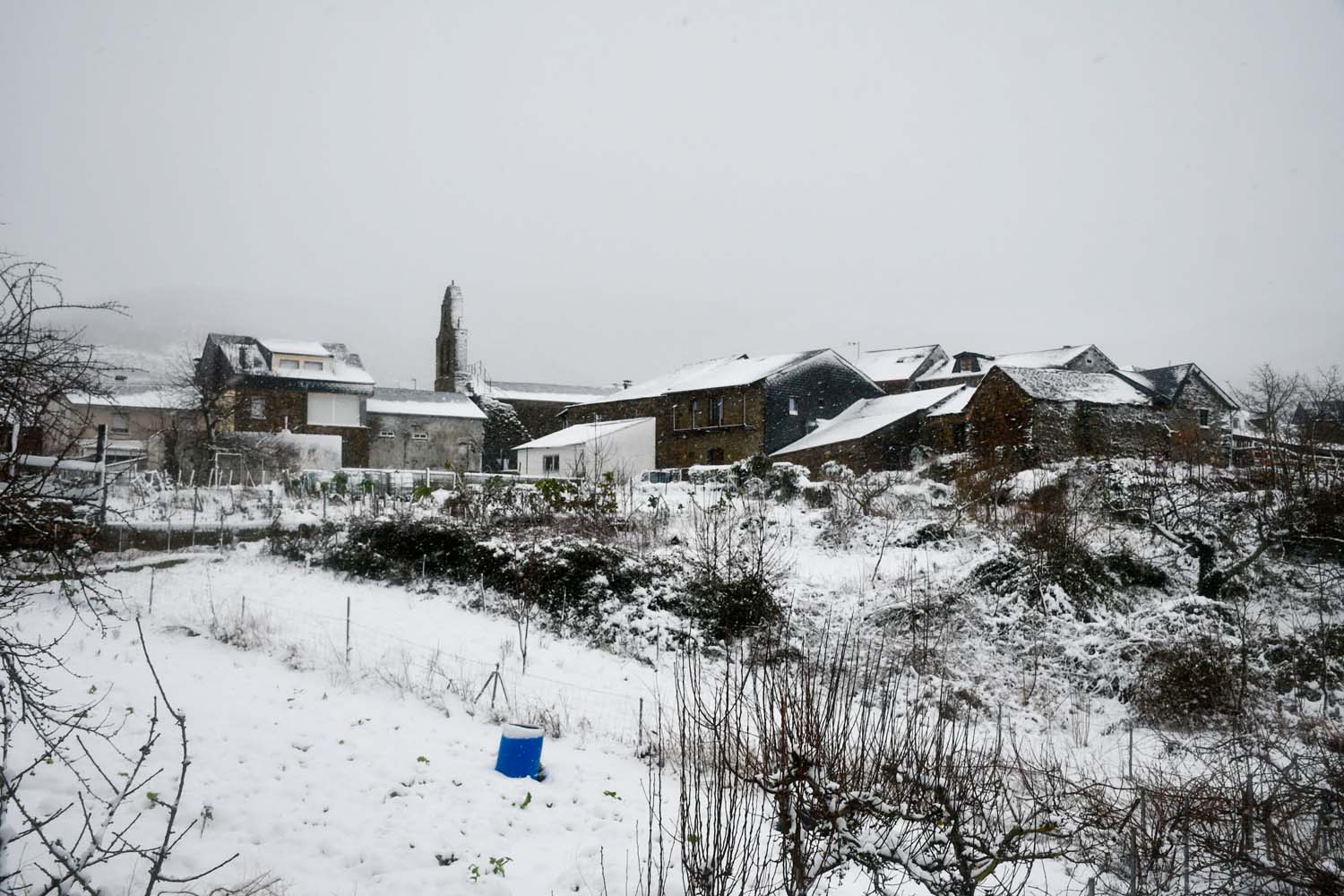 La borrasca Herminia deja un manto de nieve en San Cristobal de Valdueza  (5)