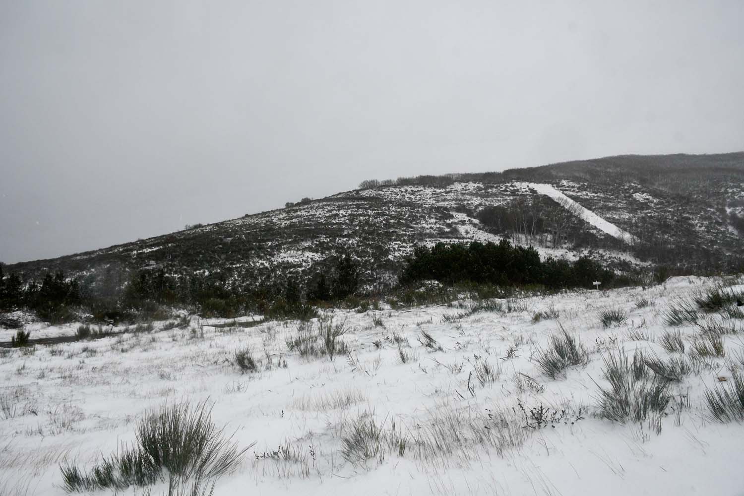 La borrasca Herminia deja un manto de nieve en San Cristobal de Valdueza  (36)