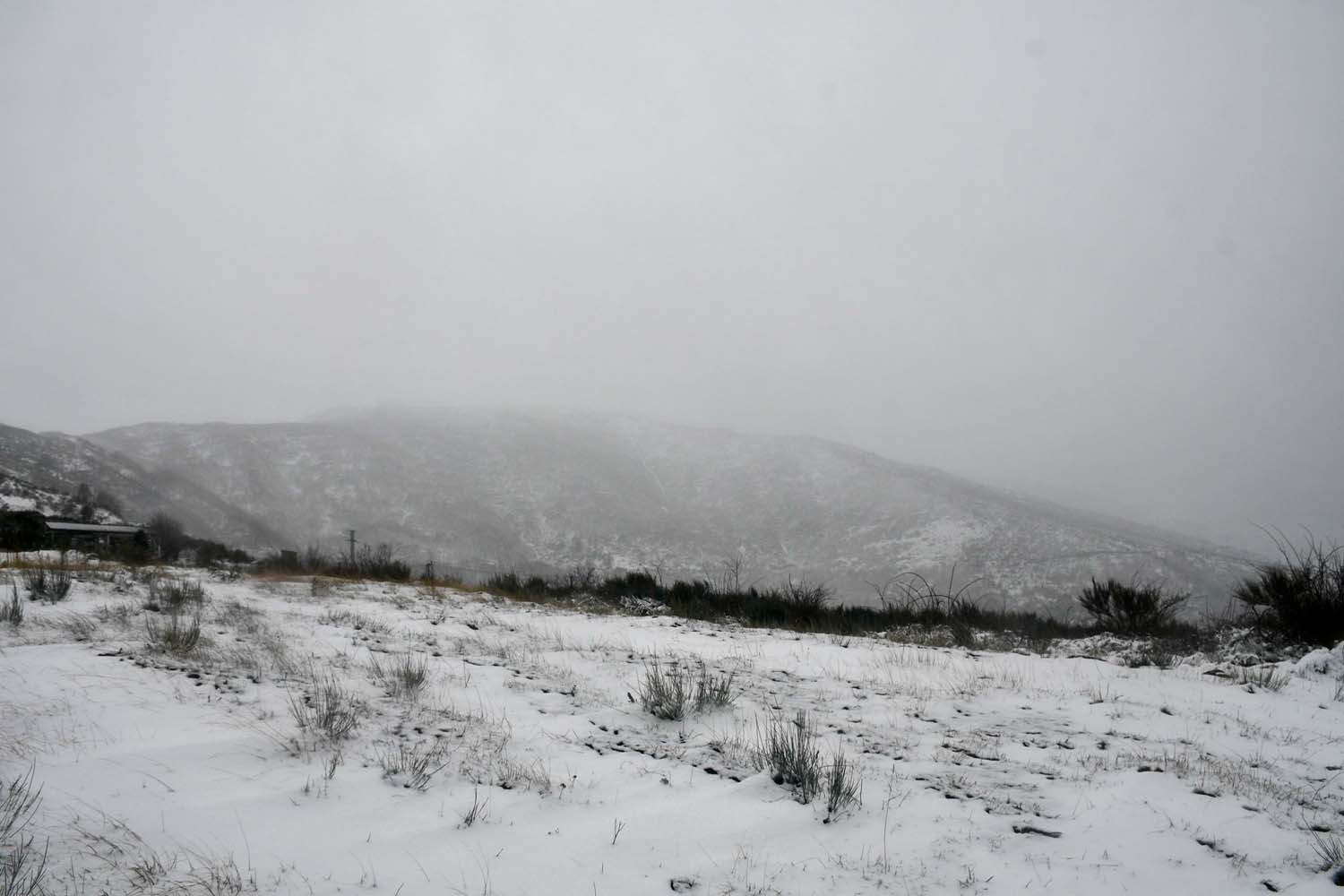 La borrasca Herminia deja un manto de nieve en San Cristobal de Valdueza  (34)