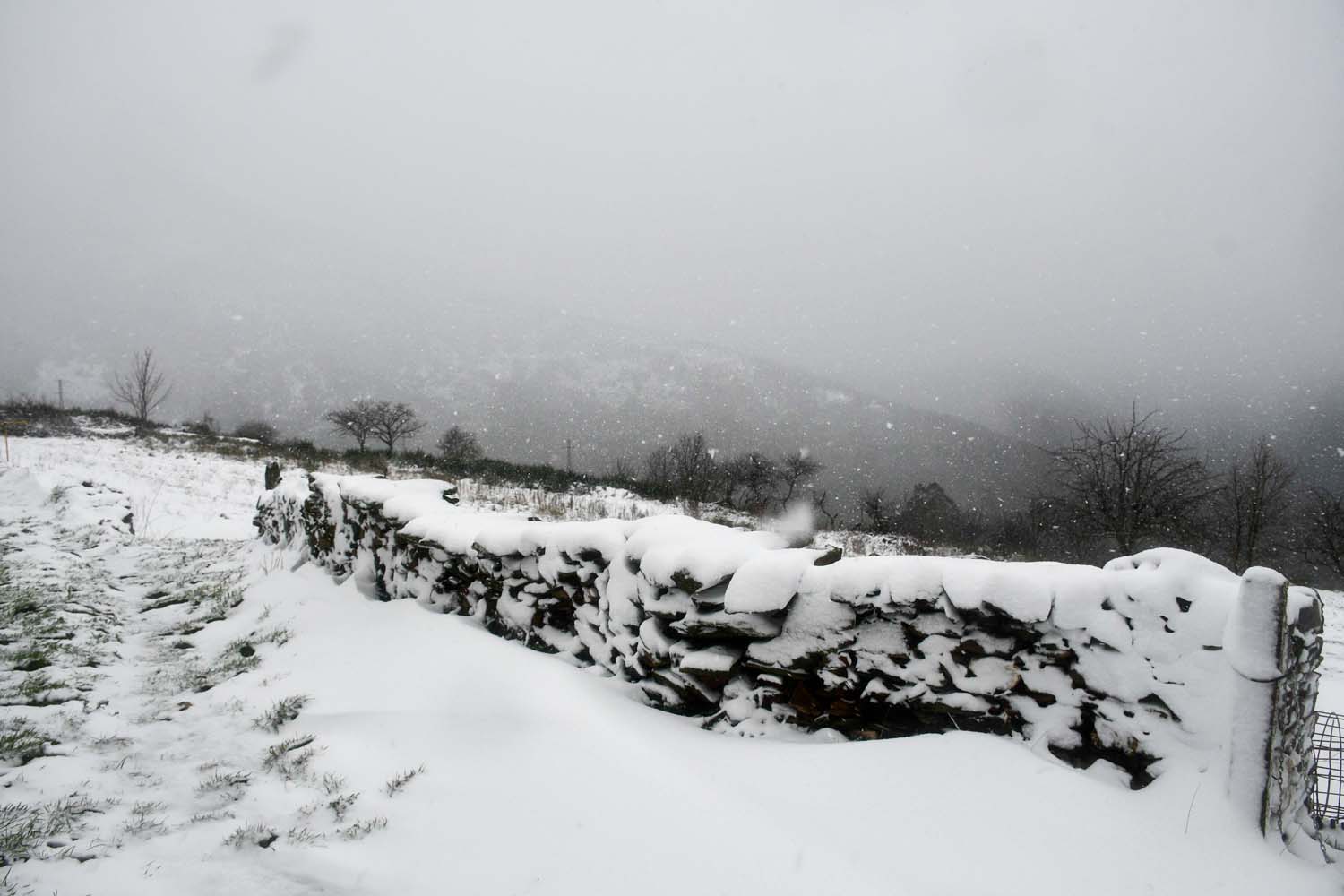 La borrasca Herminia deja un manto de nieve en San Cristobal de Valdueza  (28)