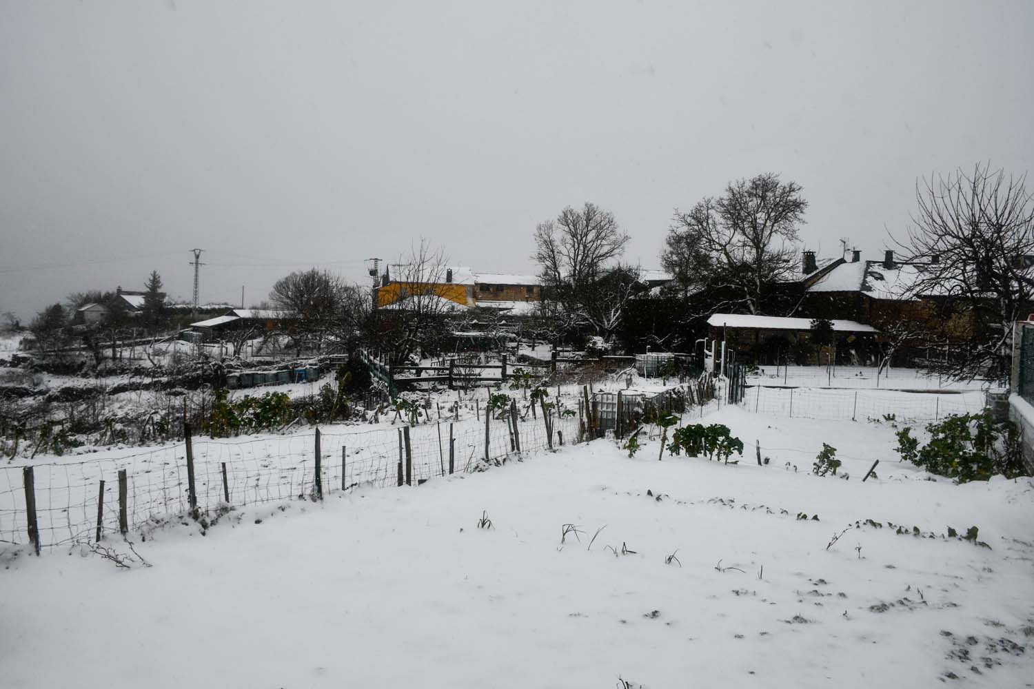 La borrasca Herminia deja un manto de nieve en San Cristobal de Valdueza  (27)