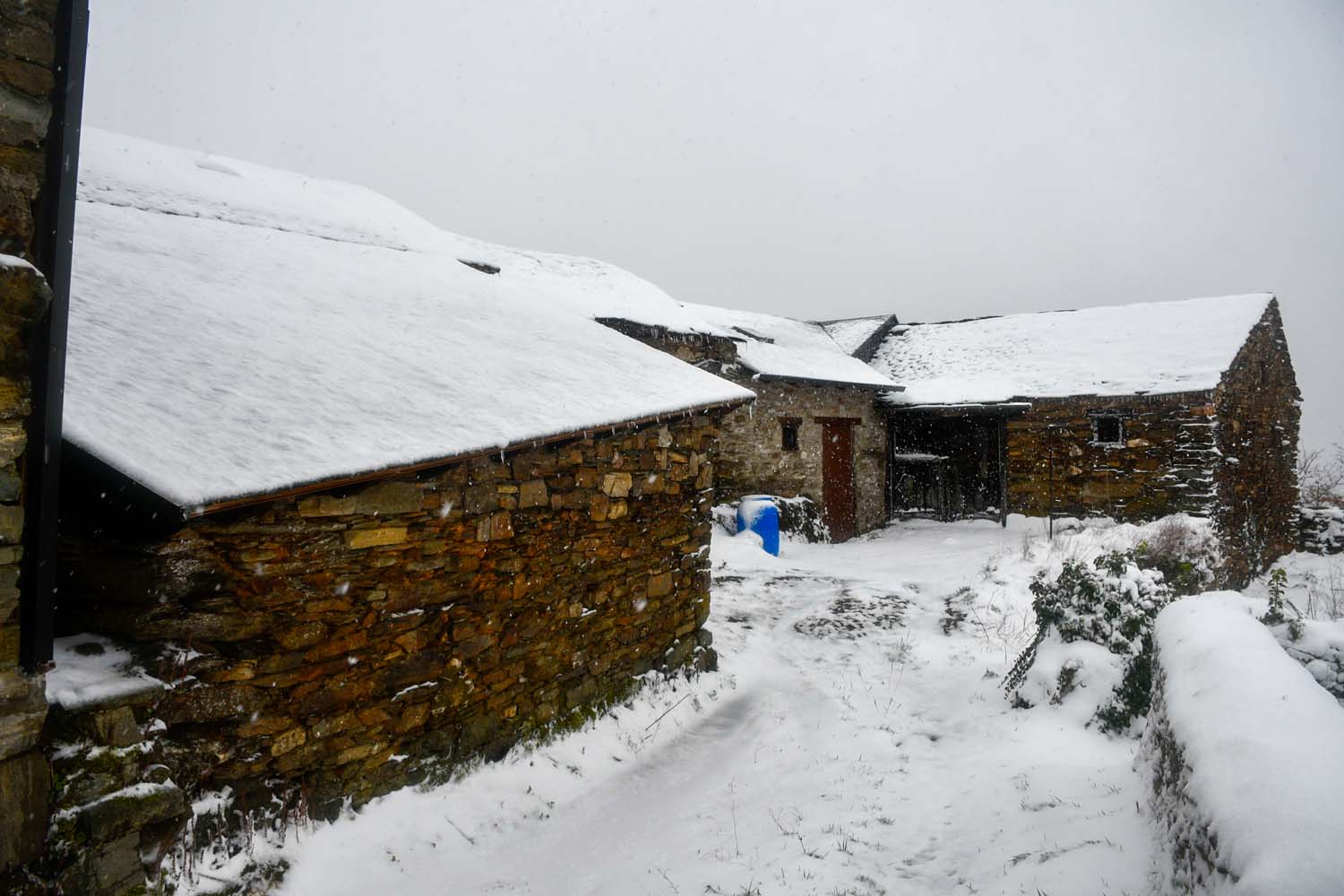 La borrasca Herminia deja un manto de nieve en San Cristobal de Valdueza  (26)