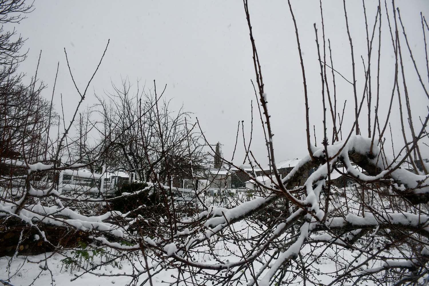 La borrasca Herminia deja un manto de nieve en San Cristobal de Valdueza  (22)