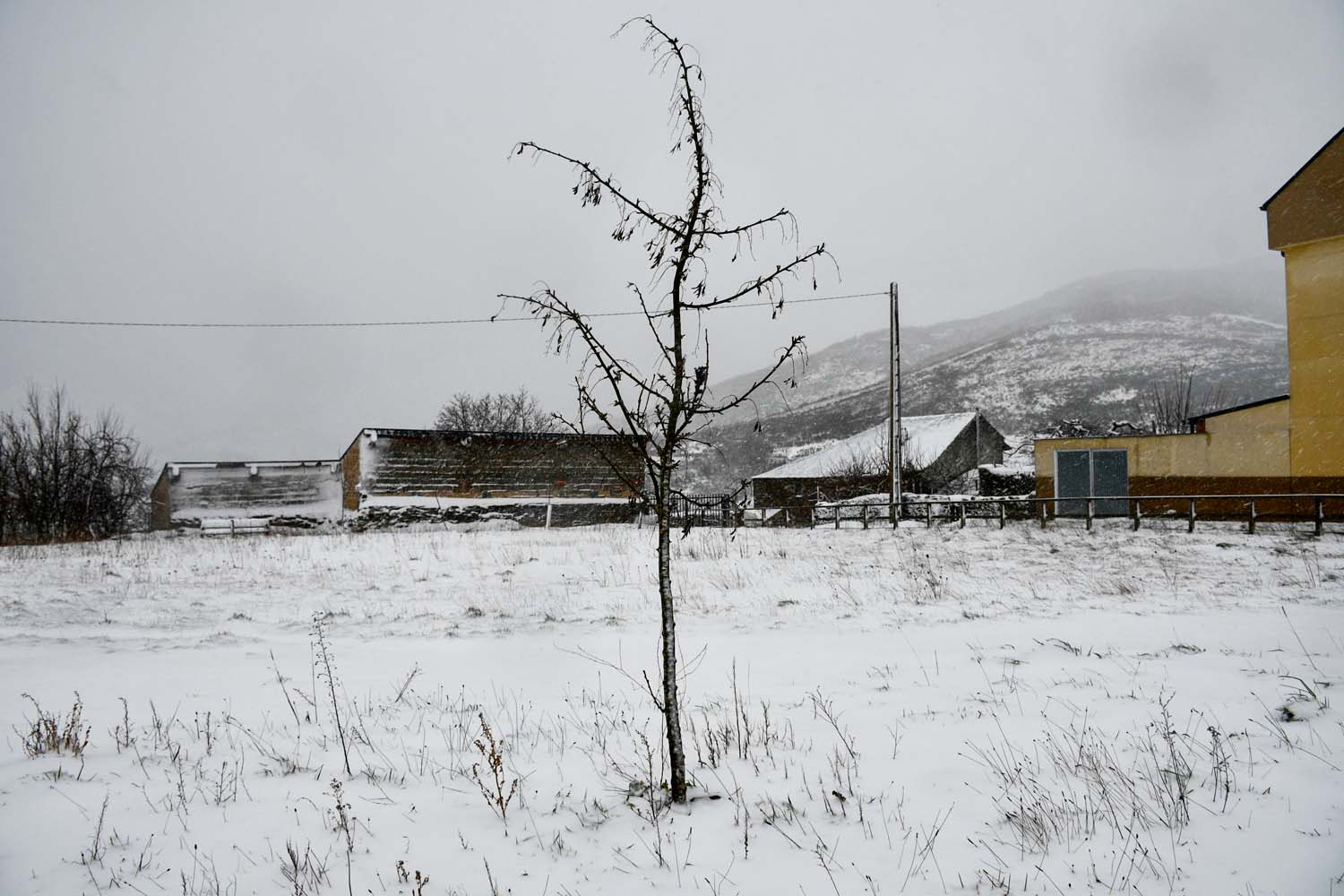 La borrasca Herminia deja un manto de nieve en San Cristobal de Valdueza  (2)