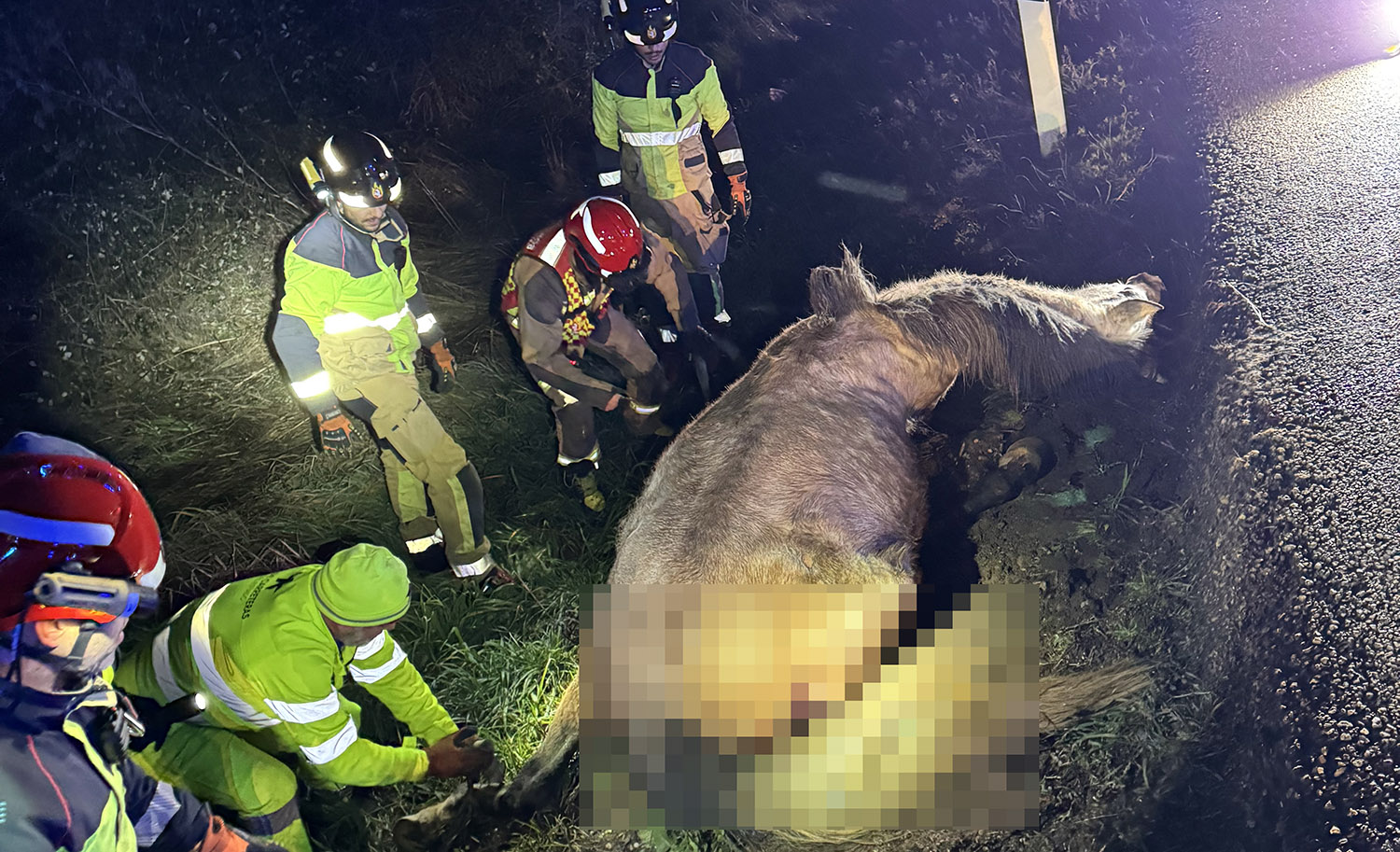 Un herido tras chocar contra un caballo en la N 120 en Villarejo de Órbigo