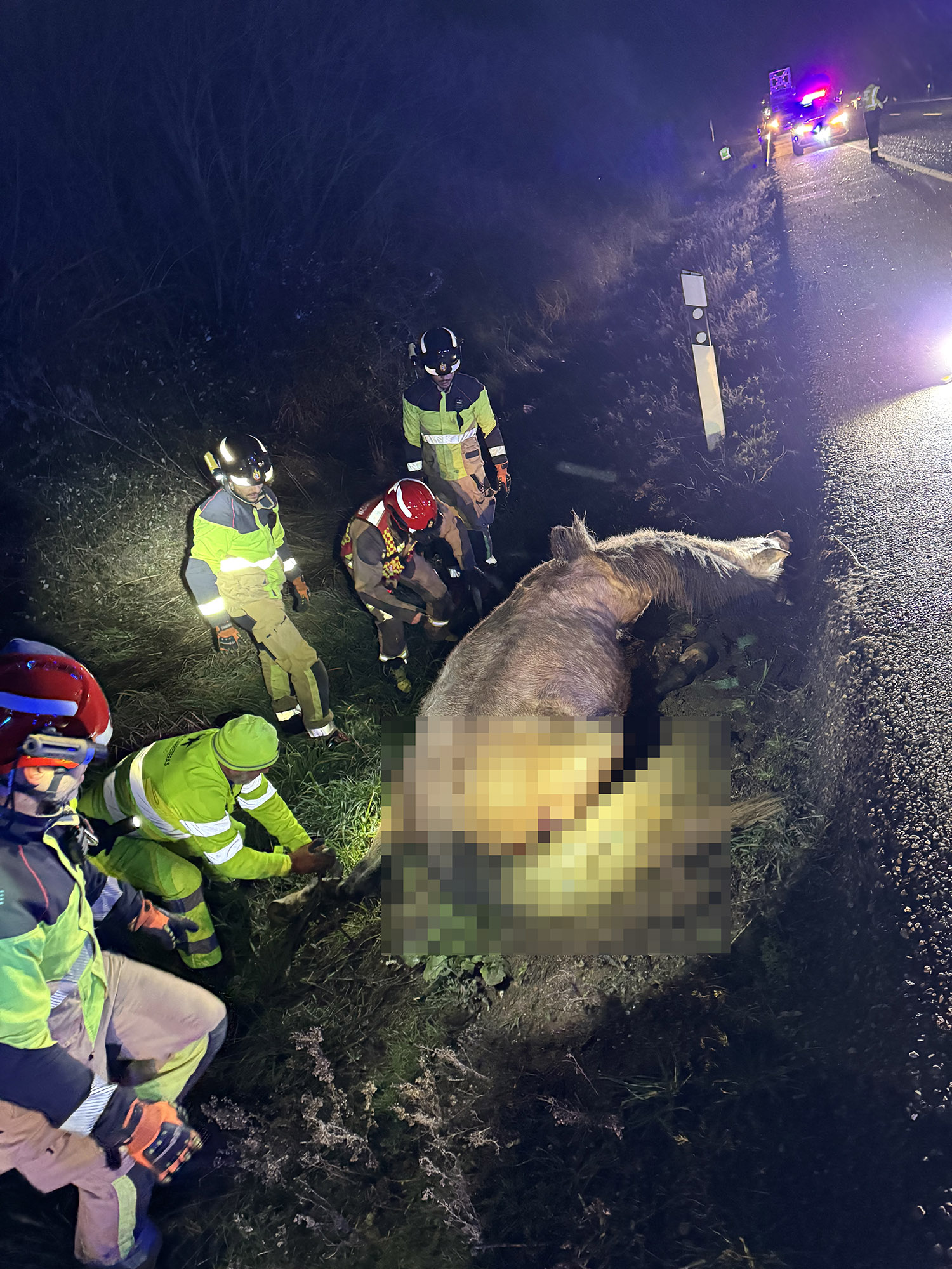 Un herido tras chocar contra un caballo en la N 120 en Villarejo de Órbigo.