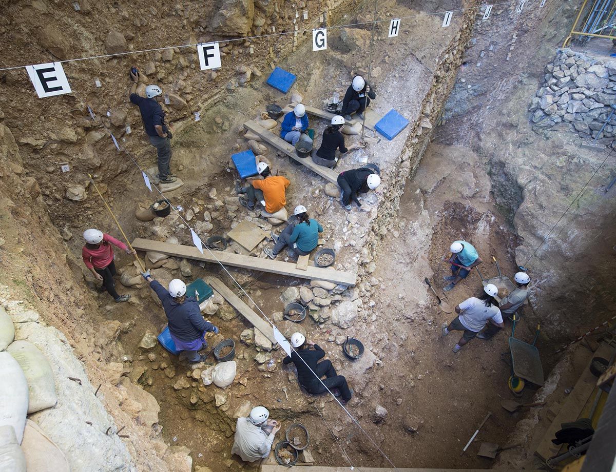 atapuerca sima elefante nuevo nivel