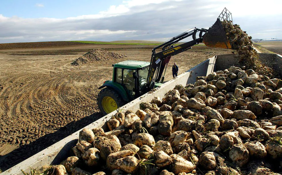 El Gobierno adelantará casi 2.500 millones a los agricultores y ganaderos por la PAC