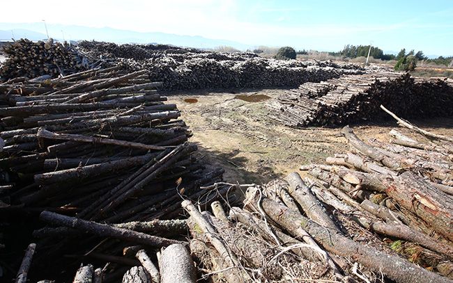 La empresa Forestalia ubicada en Cubillos del Sil