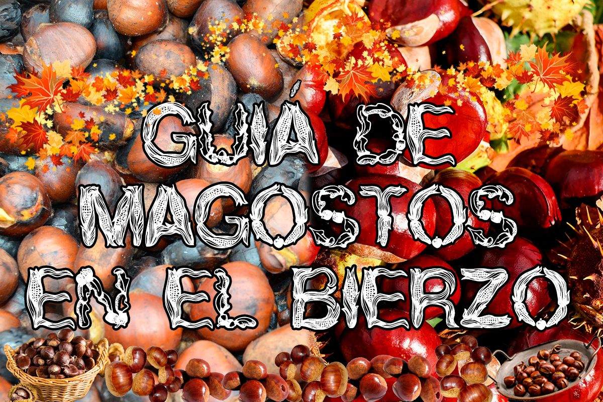 El Olor A Magosto Regresa Al Bierzo Para Asar Casta As En Diversos