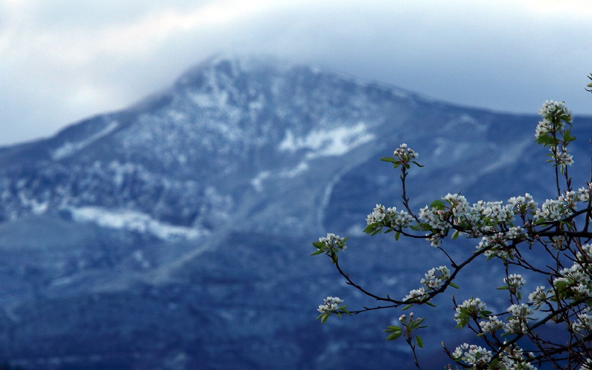 frio-bierzo