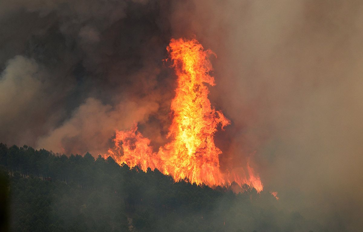 Medios aéreos y de tierra de Castilla y León colaboran en la extinción del incendio forestal declarado en Las Hurdes y la Sierra de Gata(Cáceres), muy cerca de la provincia de Salamanca