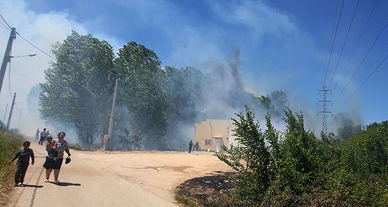 Incendio en una chopera en Columbrianos, aledaño a naves y huertas (César Sánchez)