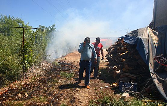 Incendio en una chopera en Columbrianos, aledaño a naves y huertas (César Sánchez)