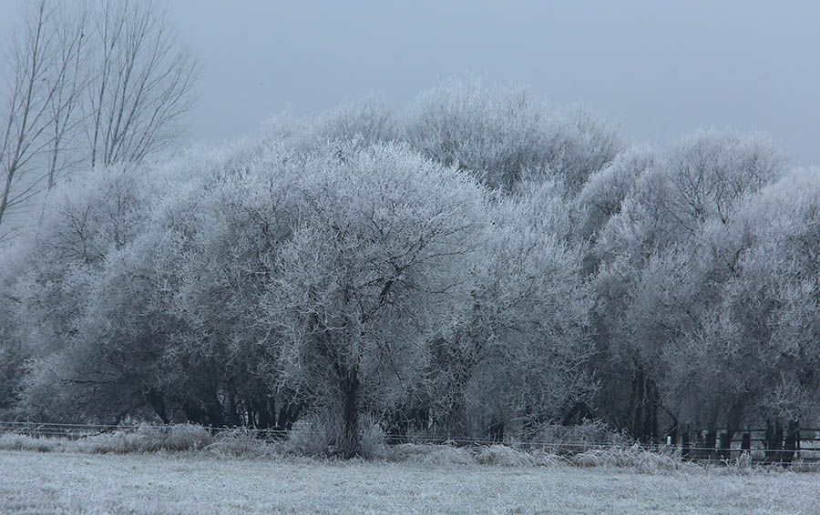 Villablino registró este sábado la temperatura más baja de España con 13,7 grados bajo cero